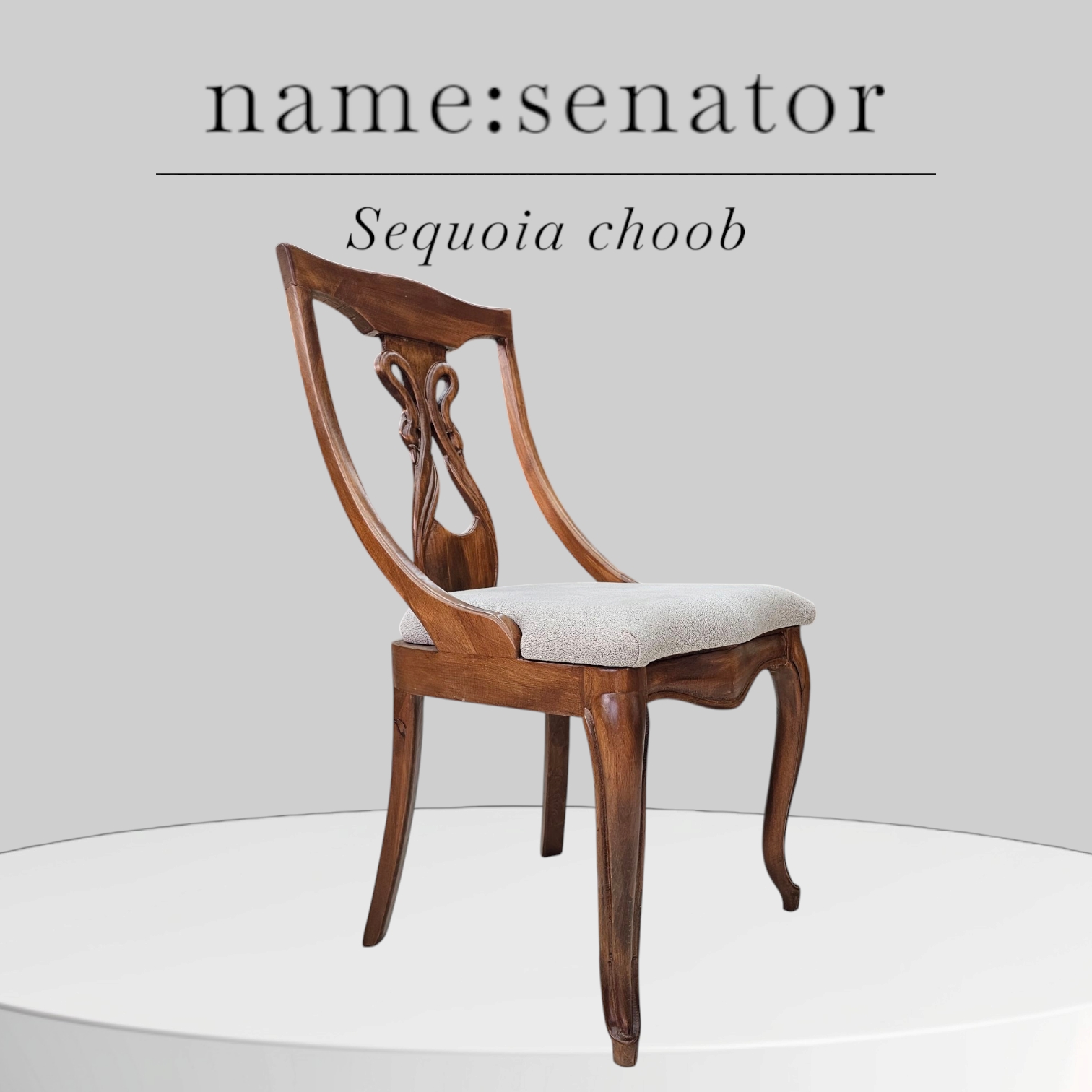 مدل سناتور قو